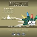 Goldengifts 33 ft. Gold LED Mini Multicolored & Warm White String Christmas Lights 100 Count GO3303754